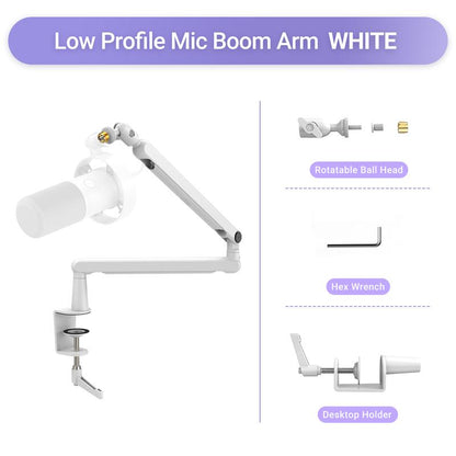 FIFINE BM88 Low Profile Microphone Boom Arm, Adjustable Stick Microphone Arm Stand with Desk Mount Clamp, Screw Adapter, Cable Management, for Podcast Audio Streaming Gaming Studio, Dealsforyoudays